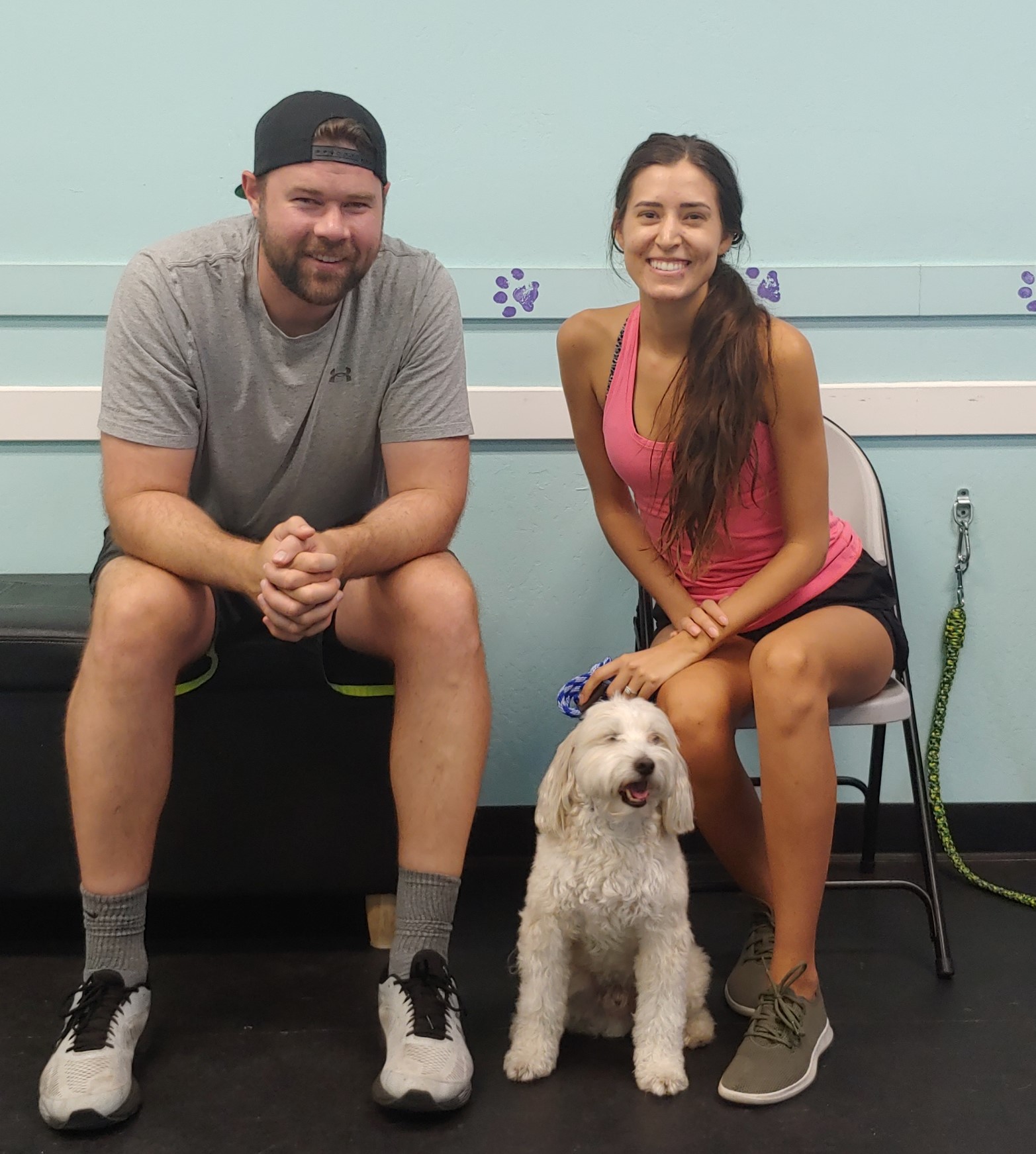 frank goldendoodle Training for phoenix